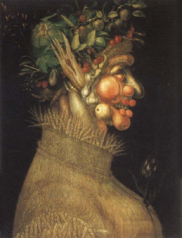 Giuseppe Arcimboldo Museum art historic the summer